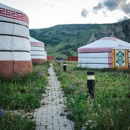 tuguldur-baatar–NtLX05El5M-unsplash tuguldur-baatar--NtLX05El5M-unsplash